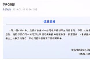 开云平台官网入口网页版下载截图2